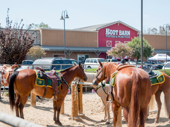 Discover what it is like living in Norco CA including lifestyle, equestrian culture, real estate trends, and housing opportunities with insights from Curb Realty.