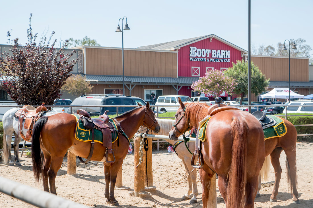 Discover what it is like living in Norco CA including lifestyle, equestrian culture, real estate trends, and housing opportunities with insights from Curb Realty.